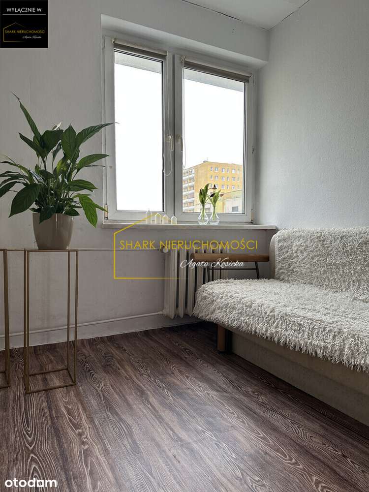 Mieszkanie do własnej aranżacji w otoczeniu drzew - Pełny obrazek: 5/15