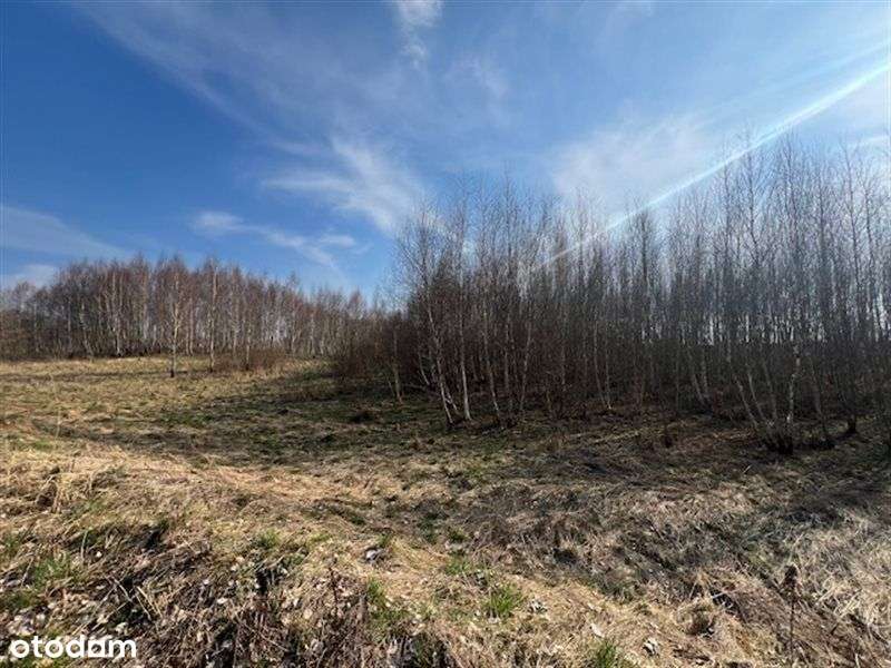 Działka rolna 11 ha-siedlisko, inwestycja, OZE-8