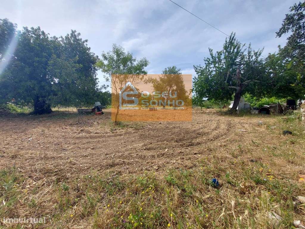 Casa Antiga para recuperar perto de São Brás de Alportel-21