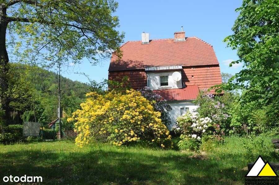 Dwa mieszkania-Cały dom-7