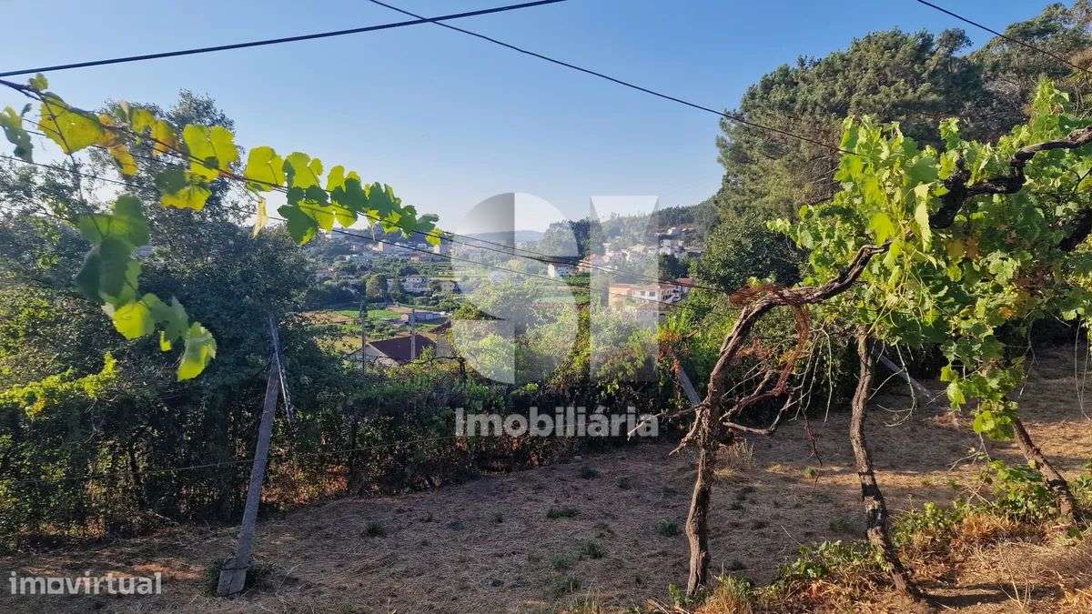 Terreno - potencial de investimento - Astromil - Paredes-45