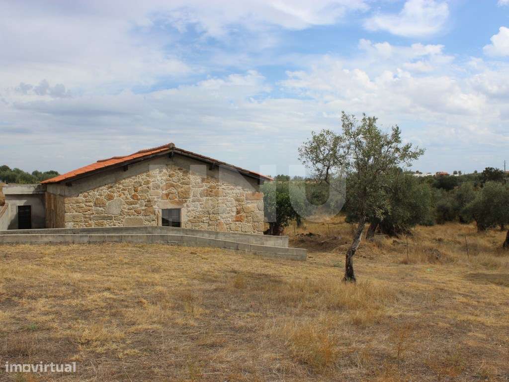Quinta com 5000m2 para Venda na Mata. - Grande imagem: 3/33