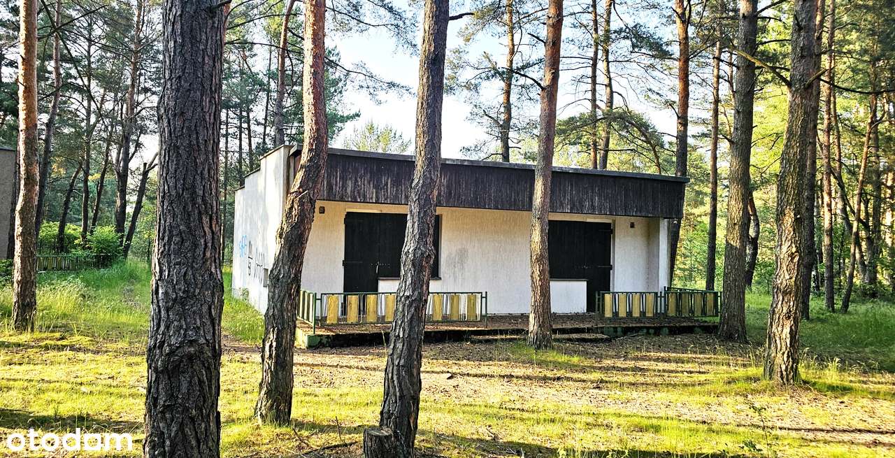 Urocze, leśne domki letniskowe przy jeziorze! Kucoby!-4