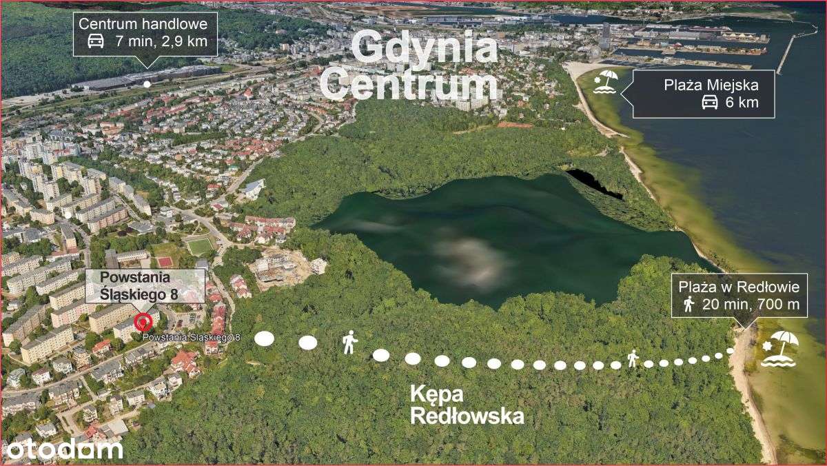 Blisko lasu, parter-3