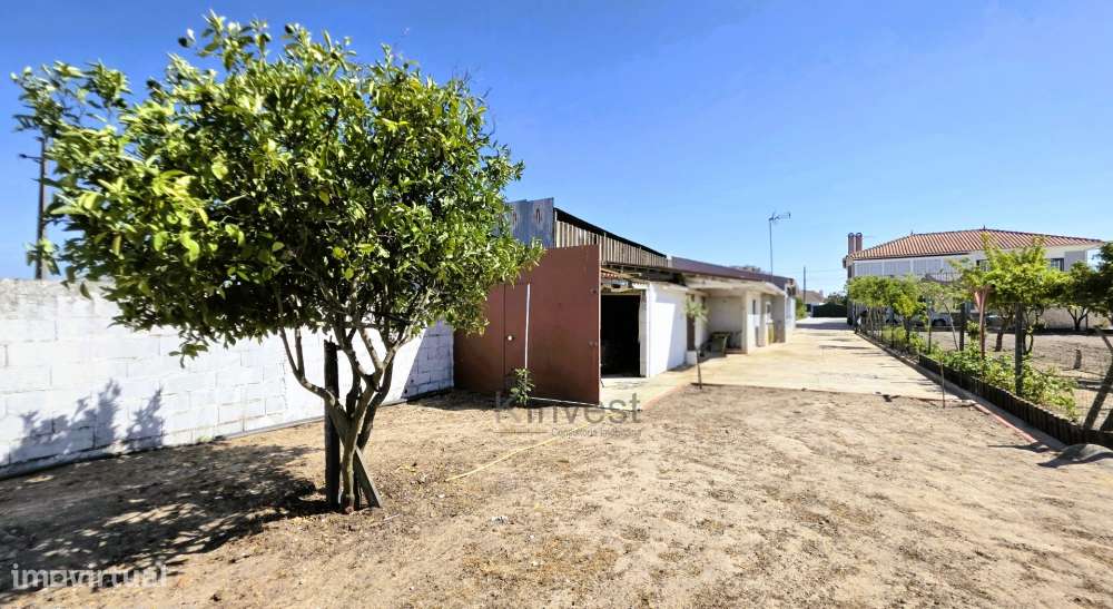 Quinta  com Moradia T6, Casa T2, Piscina Aquecida -  Salvaterra de Mag-21