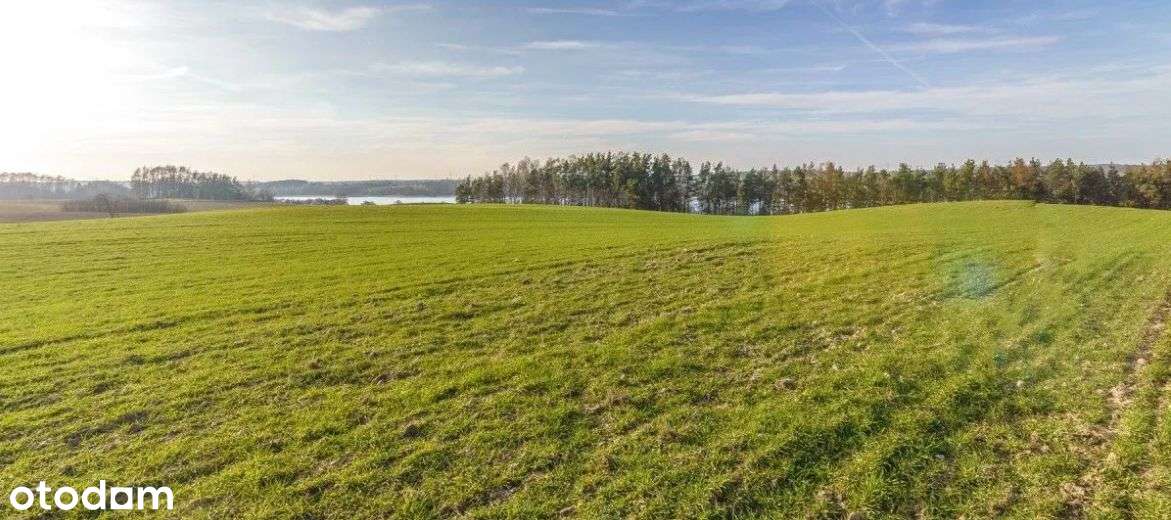 GRABÓWKO, Działka z Oczkiem Wodnym i Super Widokie - Pełny obrazek: 4/15