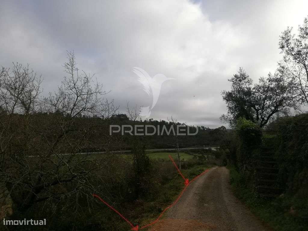 Lote terreno 3 337 m2 construção- Mata- Condeixa-a-Nova - Grande imagem: 5/6