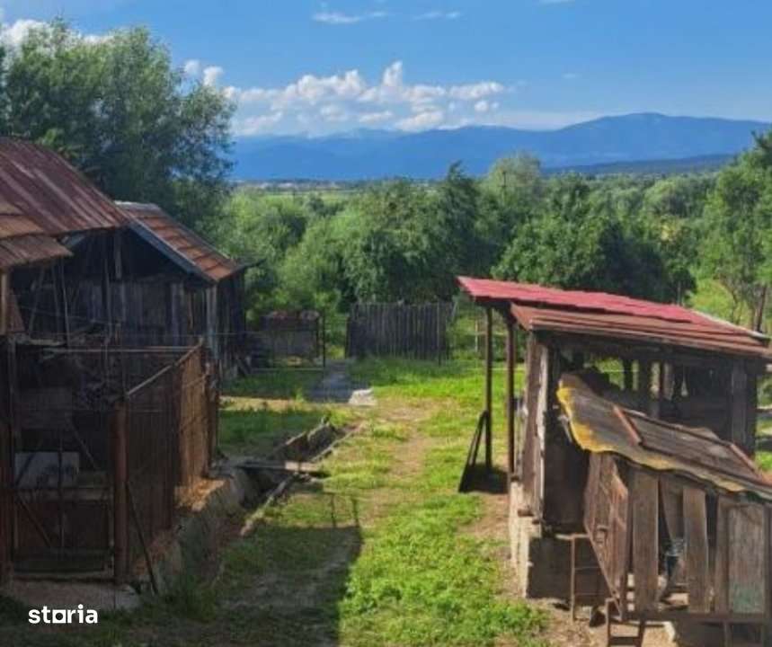 Casa traditionala cu teren generos la tara – Gorj, Șomanesti-10