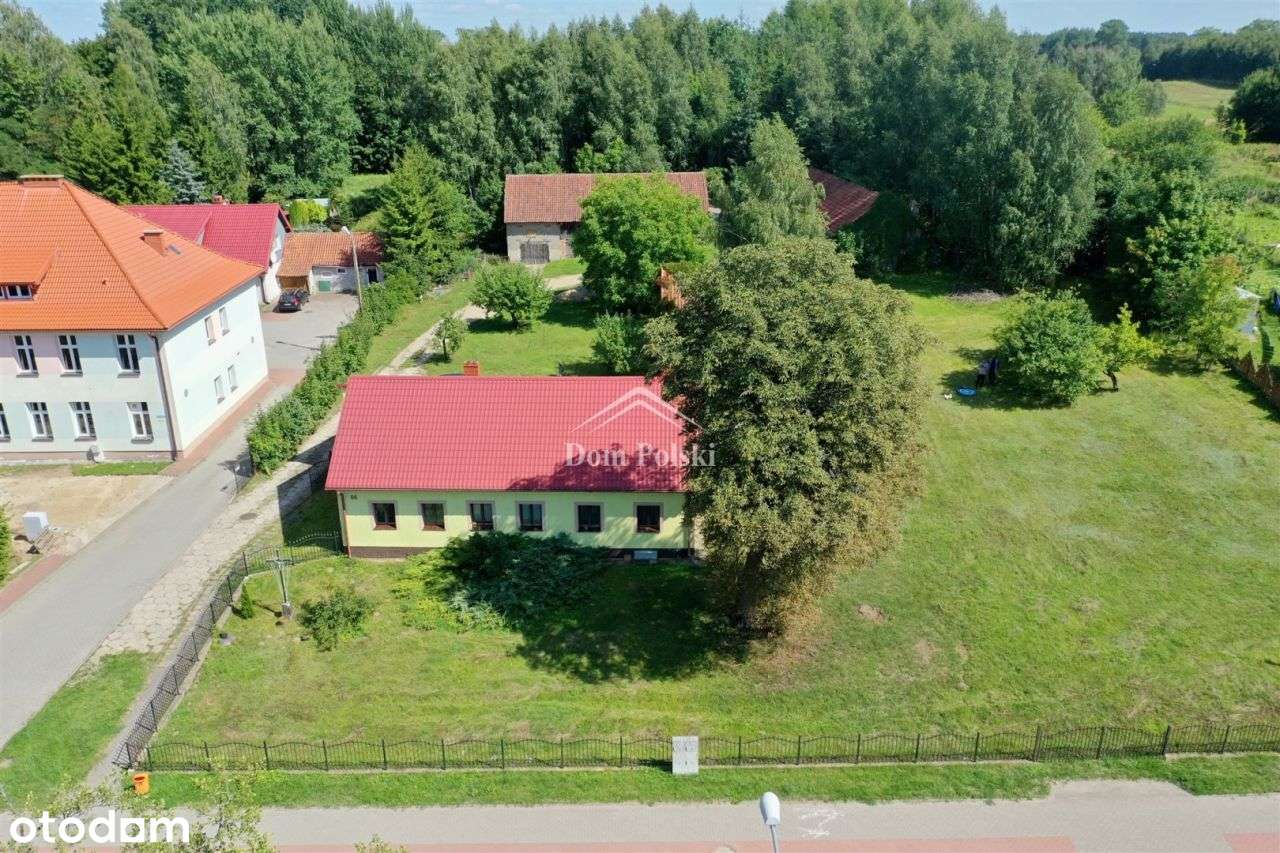 Dom z prywatnym lasem - Kowale Oleckie-0