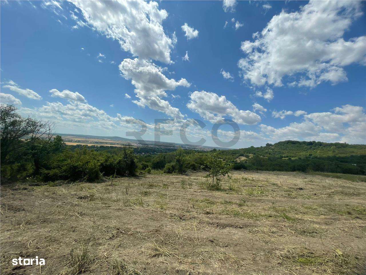 RECO Teren Extravilan Podgoria Oradea - Imagine principală: 2/10