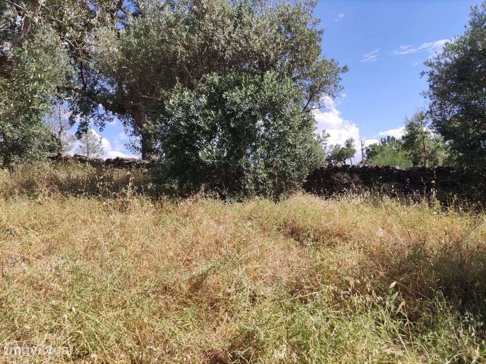 Quintinha - Grande imagem: 5/27