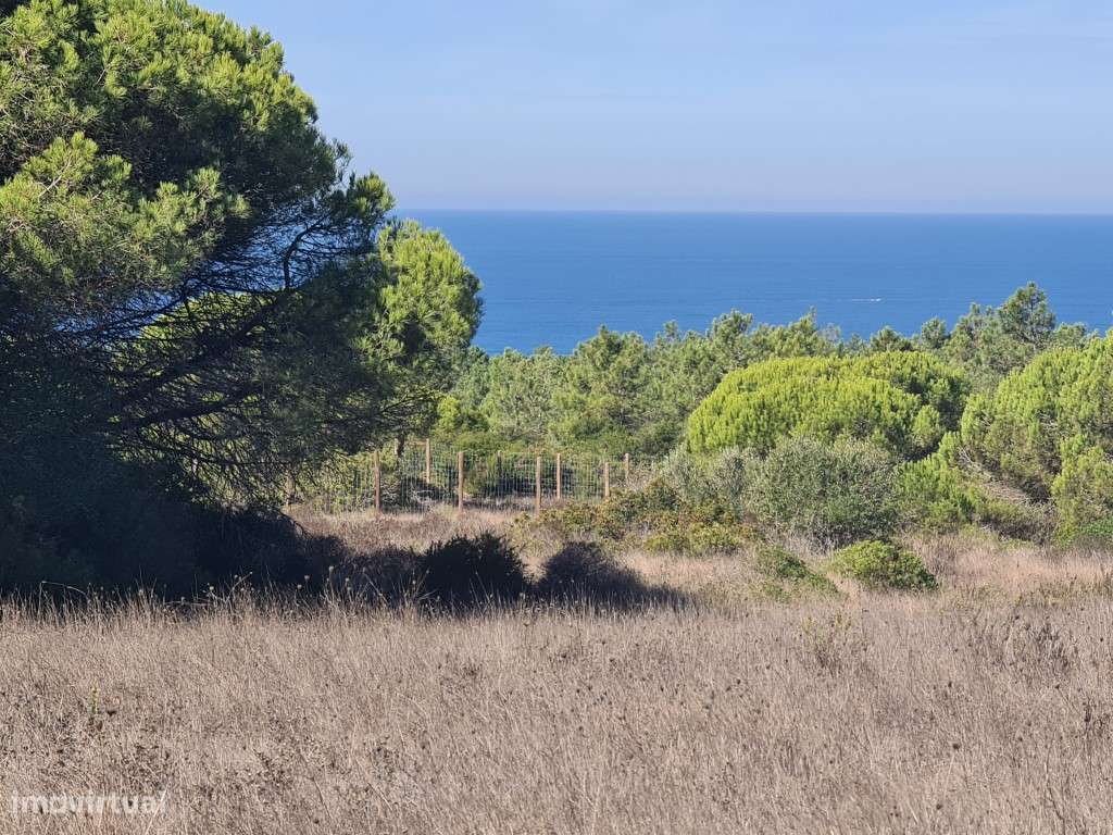 Terreno com 17000 m2 em sitio Privilegiado - Grande imagem: 2/13