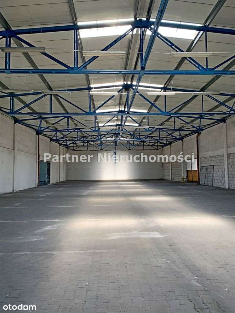 Hala Magazynowa i Biurowiec !!!! Ogrodzony!!! - Pełny obrazek: 4/14