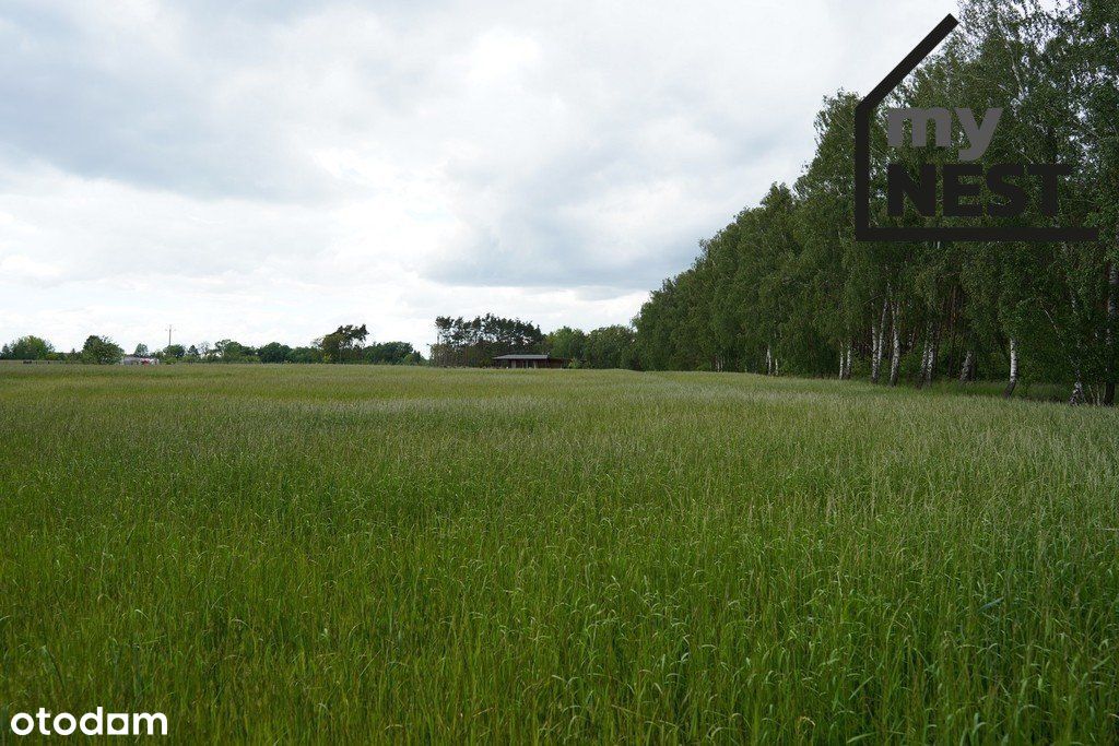 Działka Budowlana Wągrowiec Blisko Jeziora 1800 m2