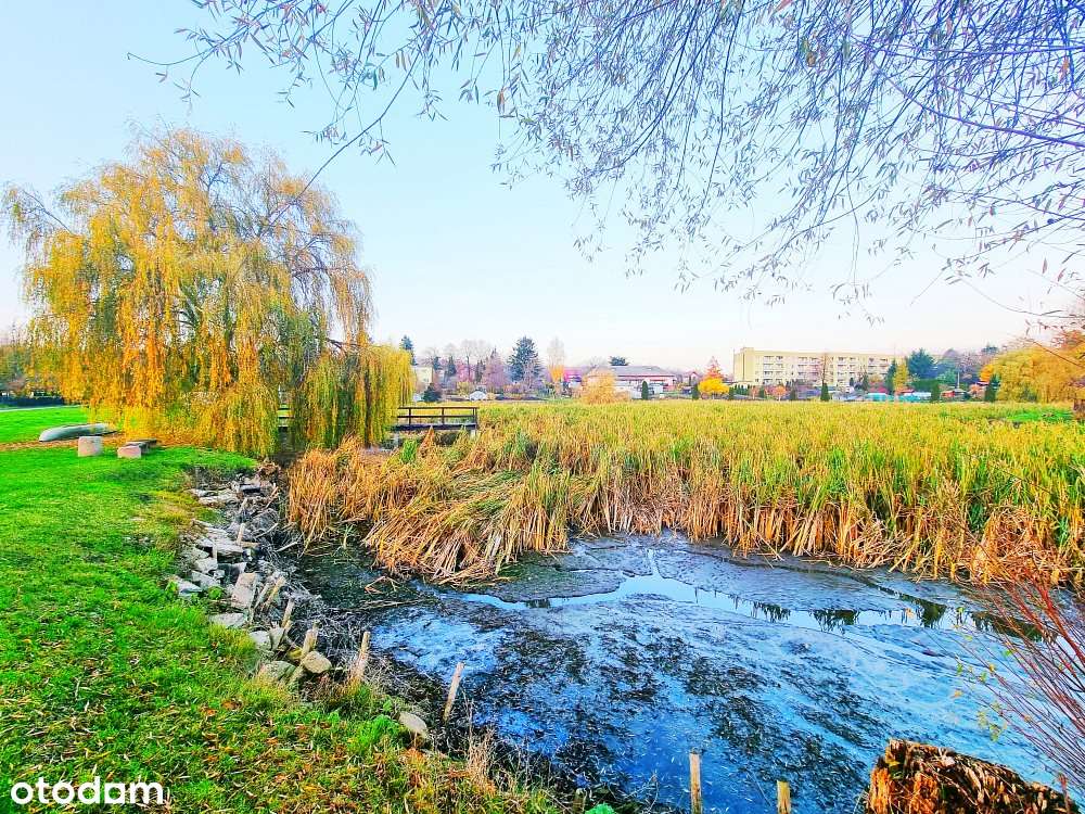 M-3|kamienica|59m2| parter|garaż|Strzyżów| - Pełny obrazek: 5/16