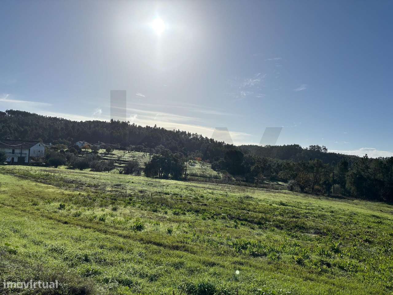 Terreno com viabilidade de construção e vista desafogada em Tomar - Grande imagem: 4/18