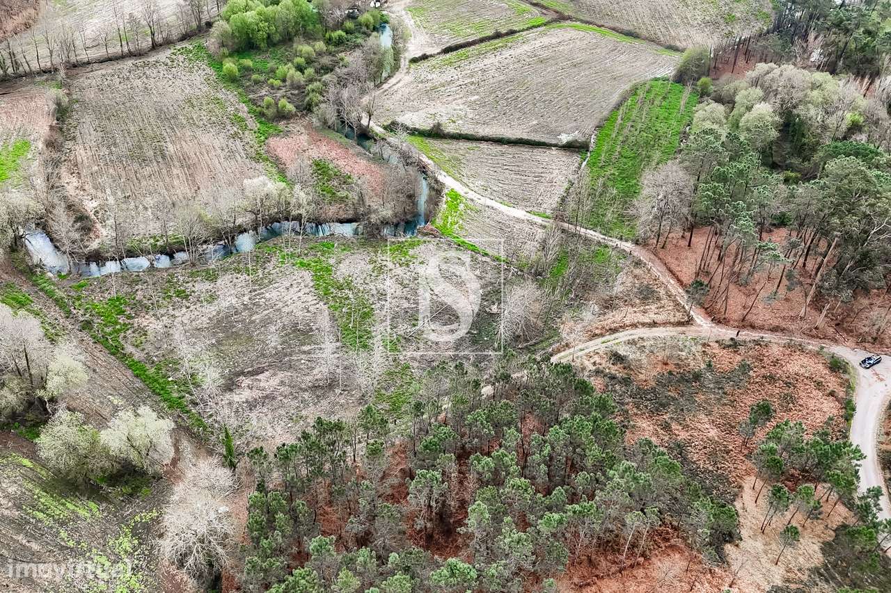 Terreno Rústico  Venda em Associação de freguesias do Vale do Neiva,Po-8