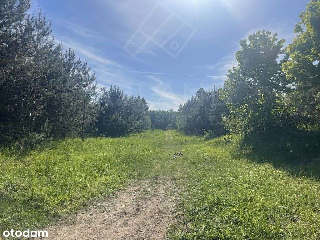 Działka w Mpzp w leśnym zaciszu! - Pełny obrazek: 5/7