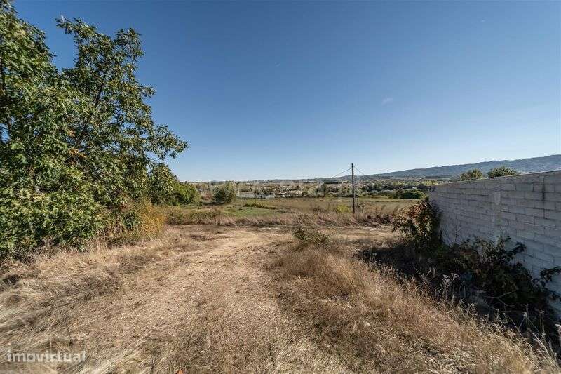 Herdade T6 / Covilhã, Boidobra-15