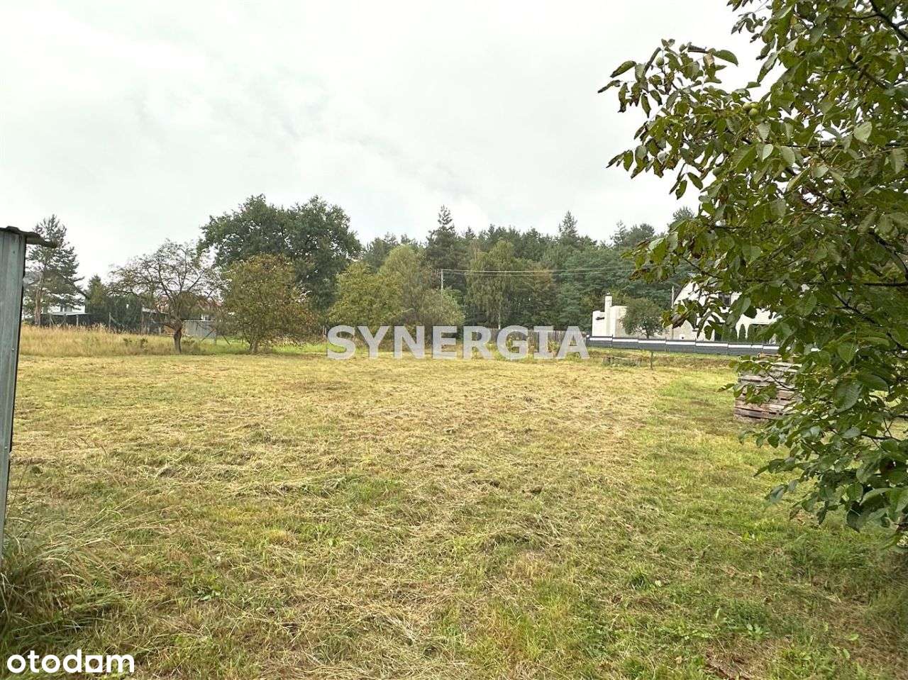 Działka budowlana blisko lasu, bez prowizji-3