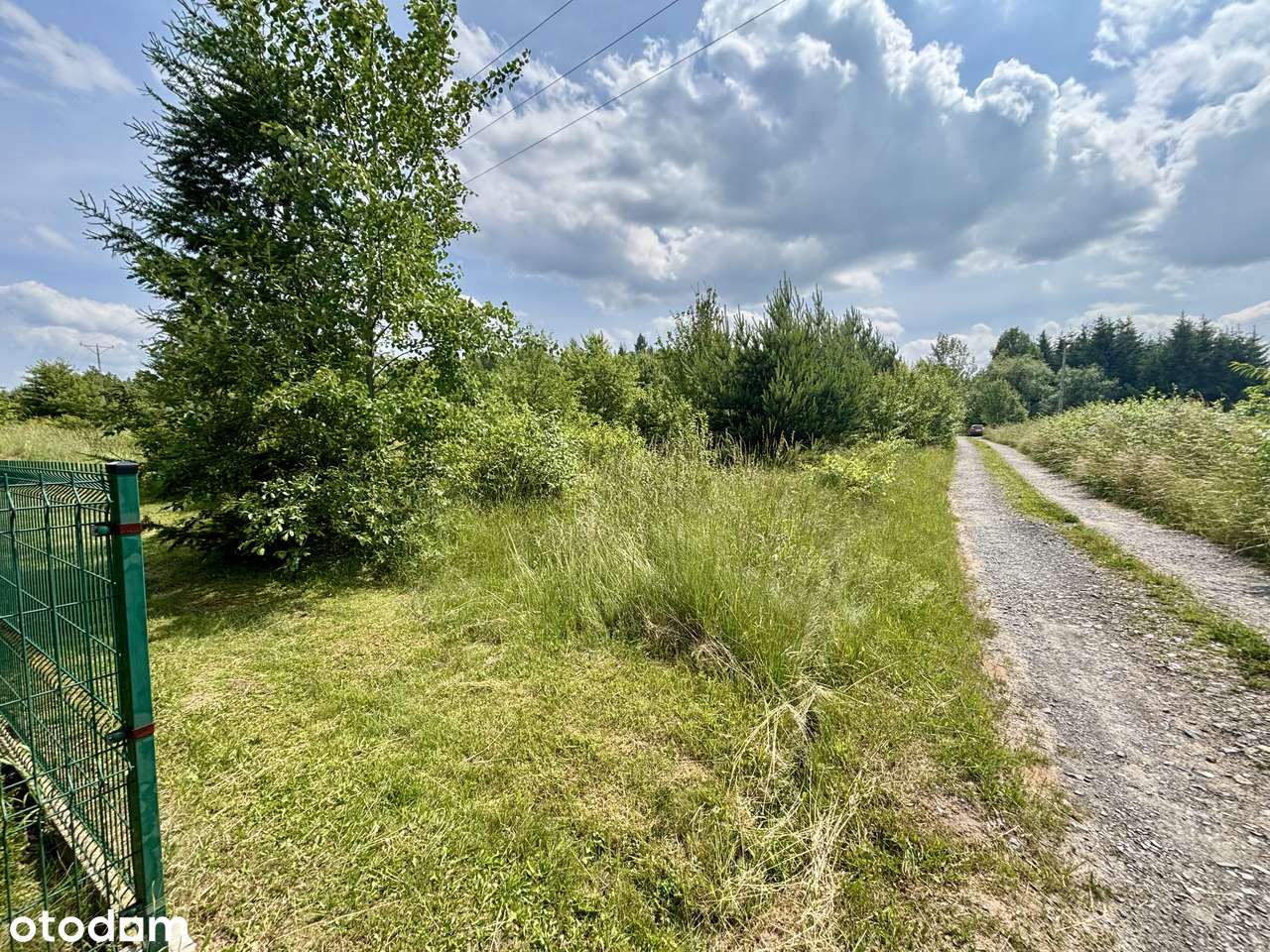 Działka budowlana 2200 m2- CIOSOWA, gm. Miedziana Góra - Pełny obrazek: 5/8