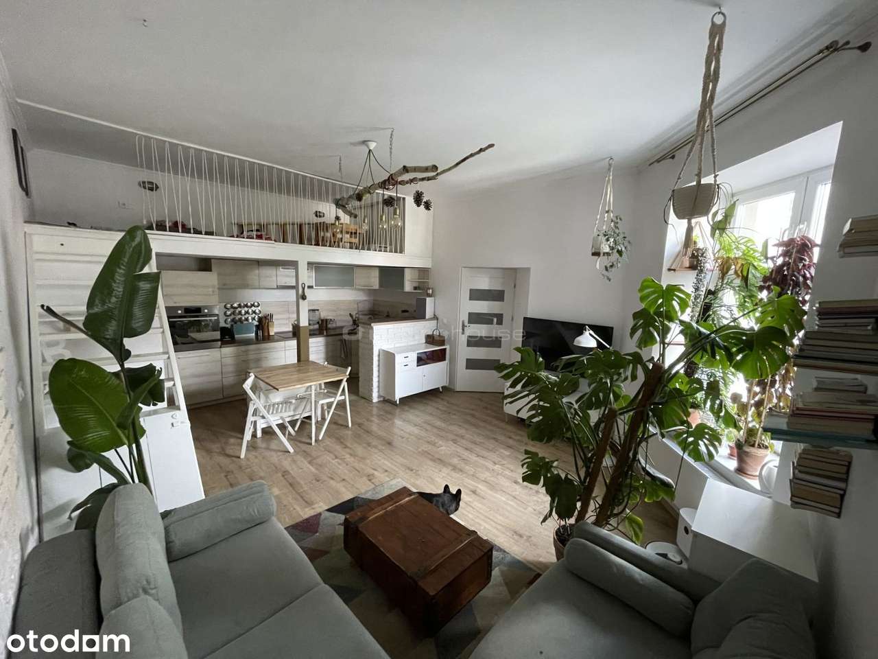 Mieszkanie w zrewitalizowanej kamienicy. - Pełny obrazek: 4/12