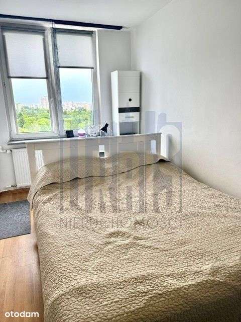 Saska Kępa przepiękne miejsce do zamieszkania-7