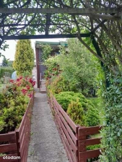 Zadbana działka Rod - Pełny obrazek: 2/8