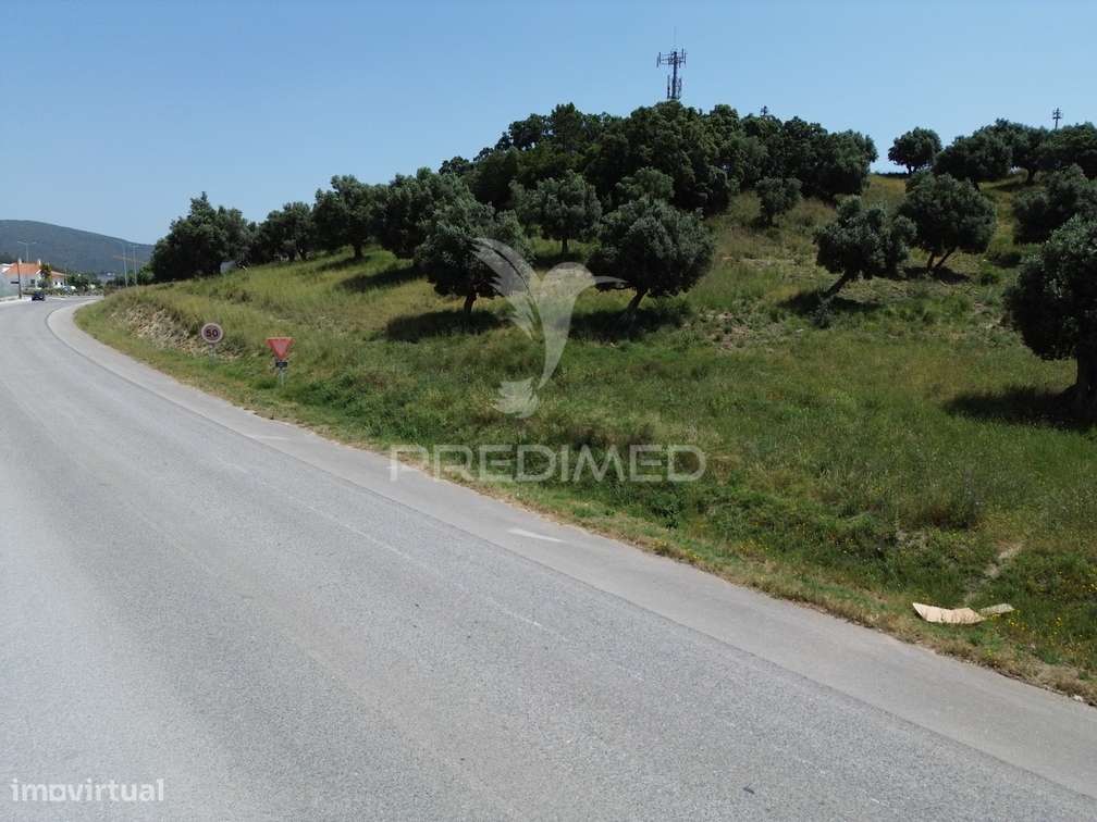Terreno Rústico - Vila Moreira, Alcanena - Grande imagem: 2/21