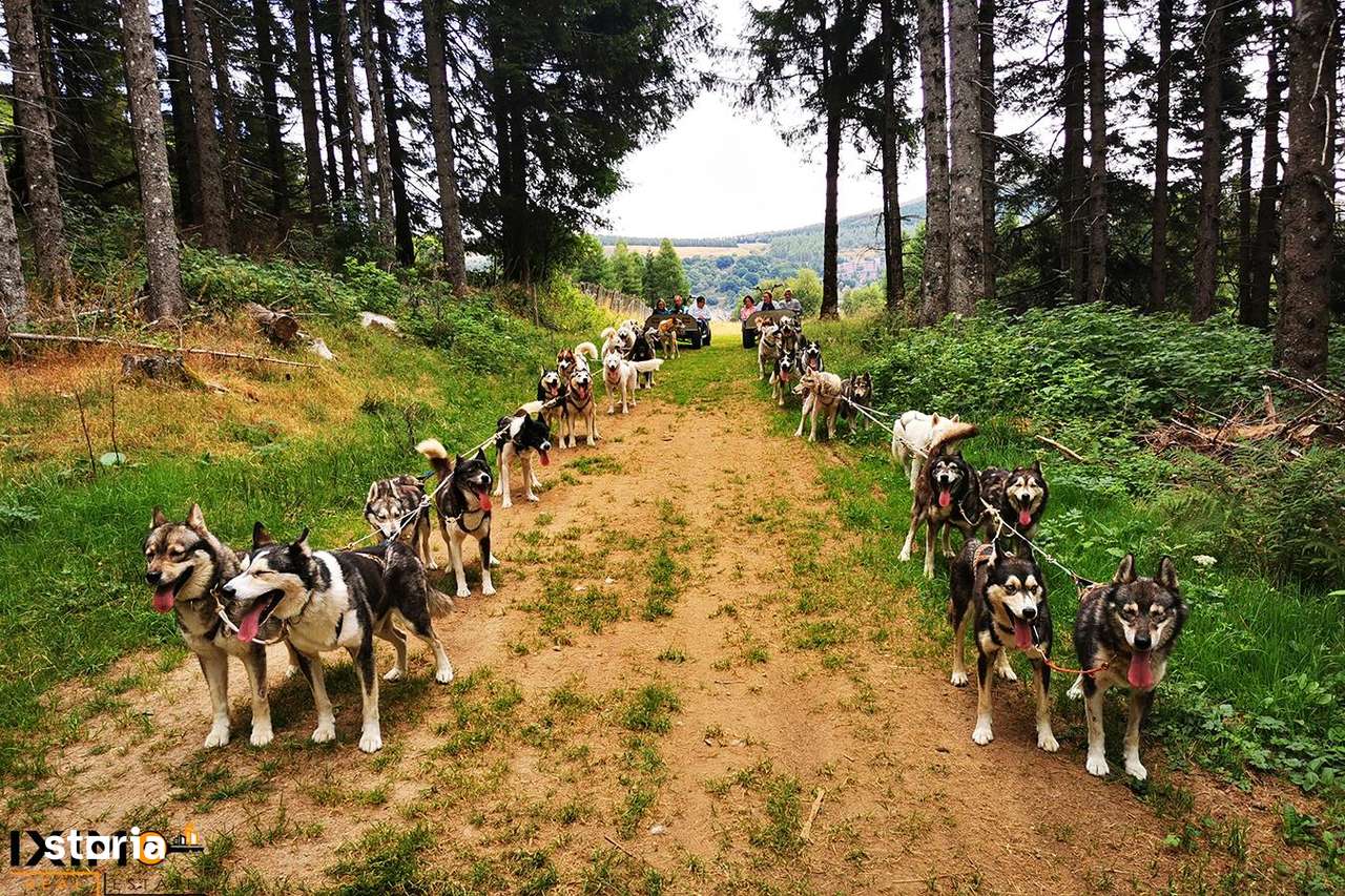 Teren cu Certificat Urbanism-8