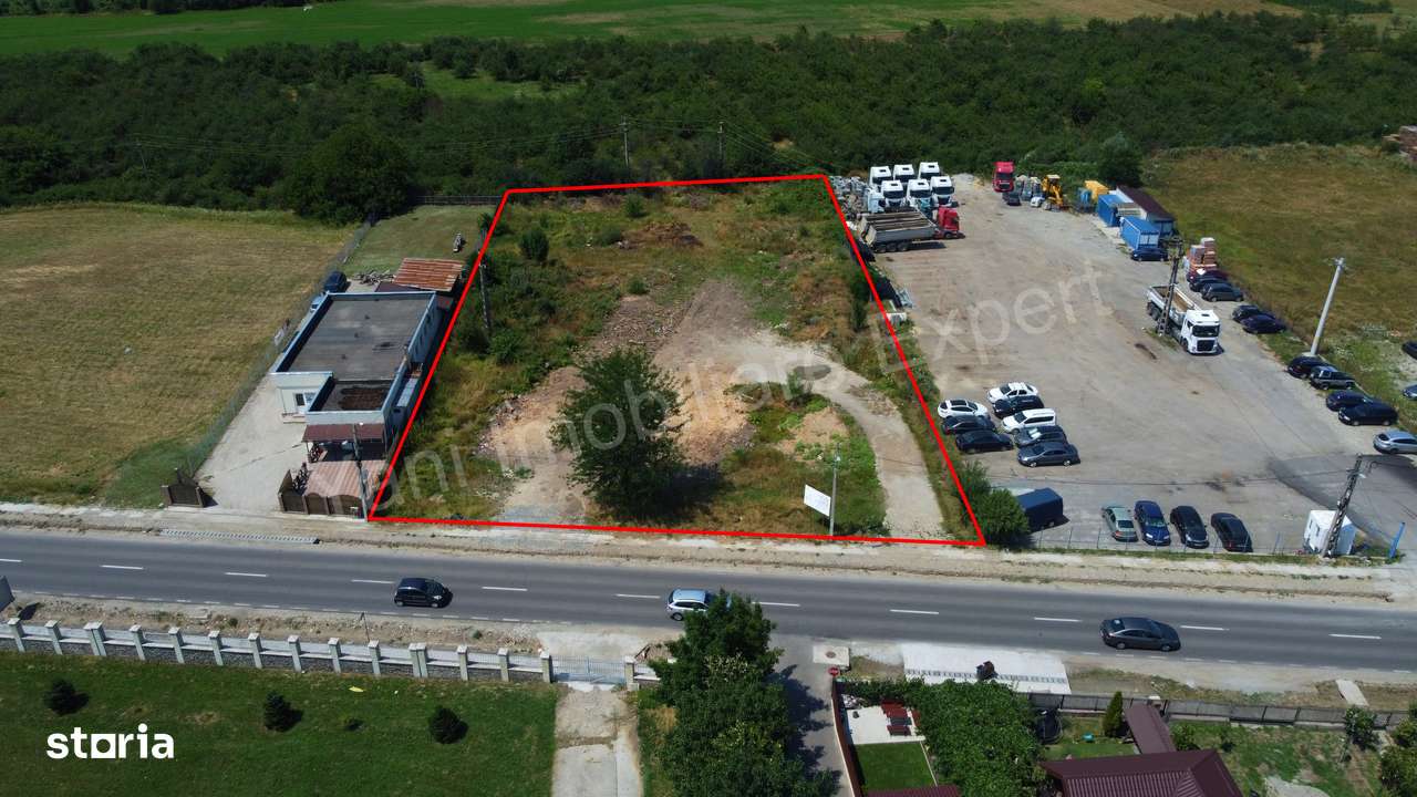 Teren de vânzare în Curtea de Argeș ( 5000 mp ). - Imagine principală: 2/16