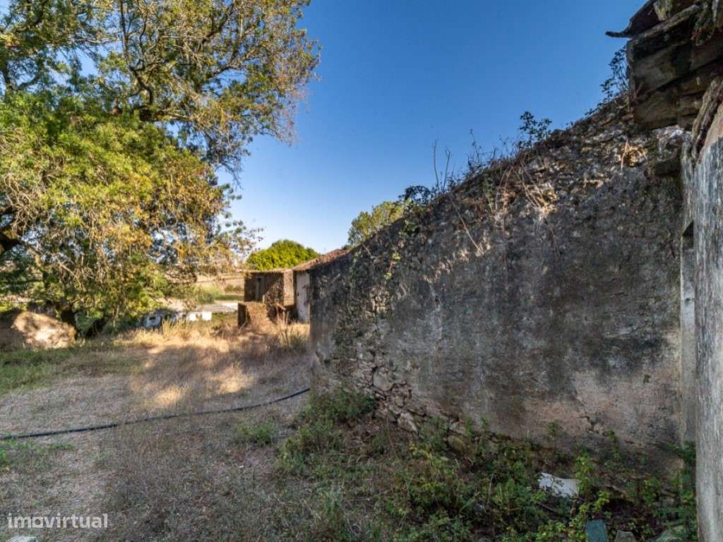 Quinta - Freiria - Sobral Monte Agraço-6