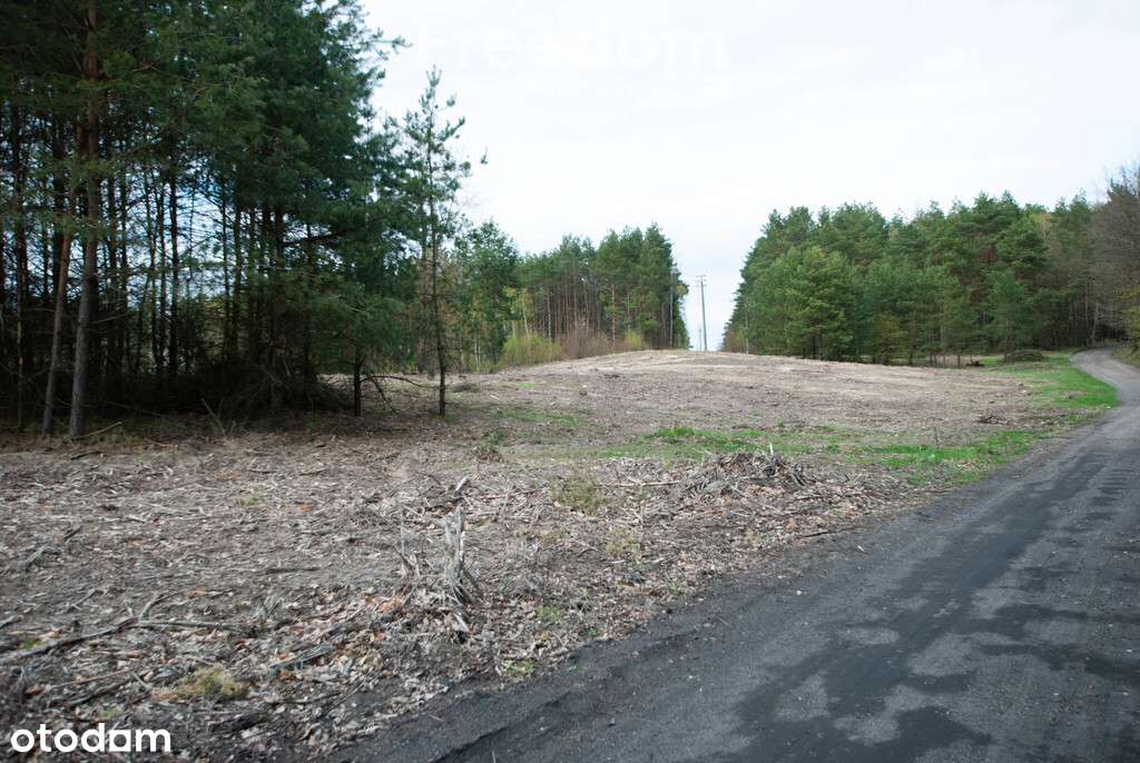 Działka budowlana przy stoku w Chodzieży - Pełny obrazek: 4/7