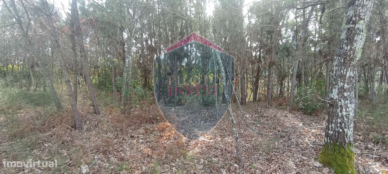 Quinta  Venda em Silgueiros,Viseu-18