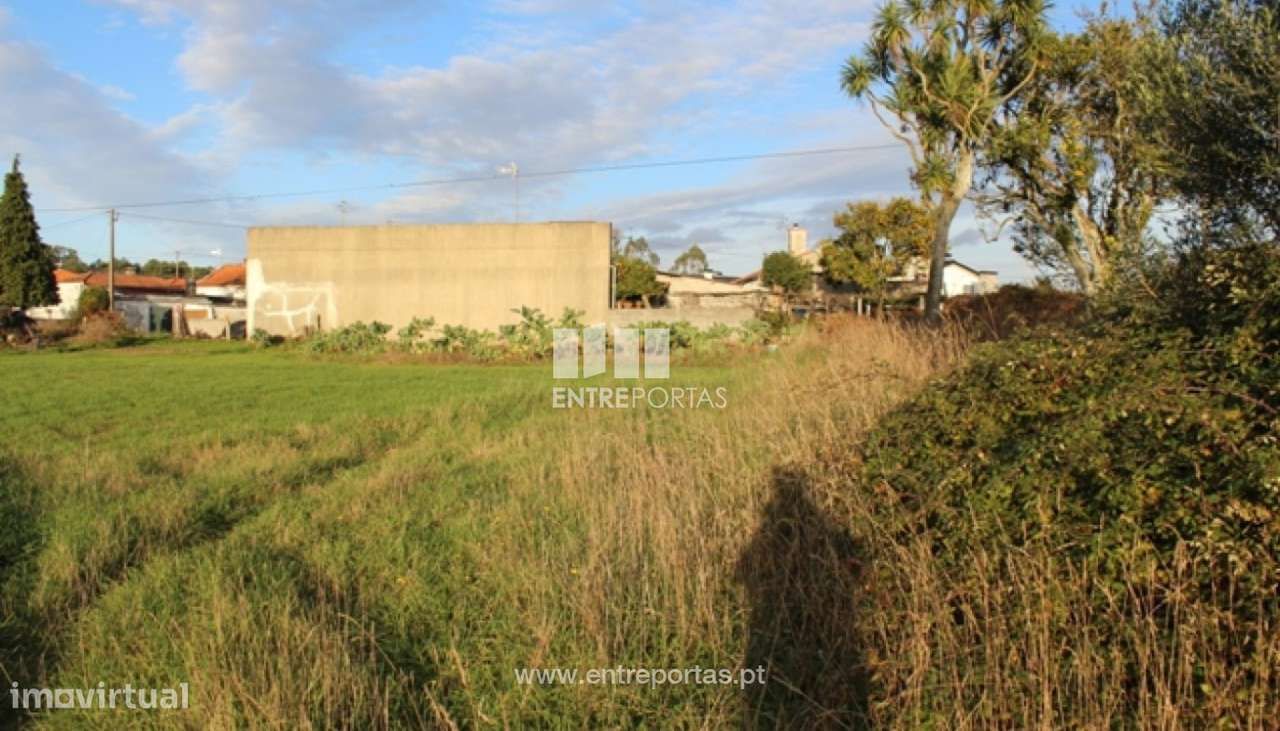 Venda de Terreno com 2600m² para construção, Vila Fria, Viana do Ca - Grande imagem: 2/28