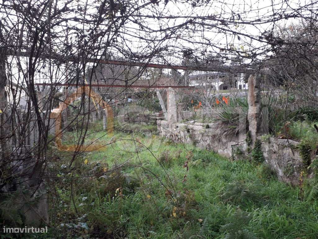 CASA ANTIGA PARA RESTAURO - Grande imagem: 3/4