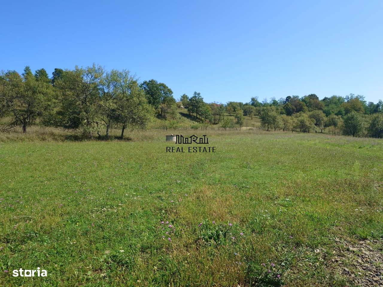 Teren intravilan 8757 mp cu potential turistic si acces direct la E79-9