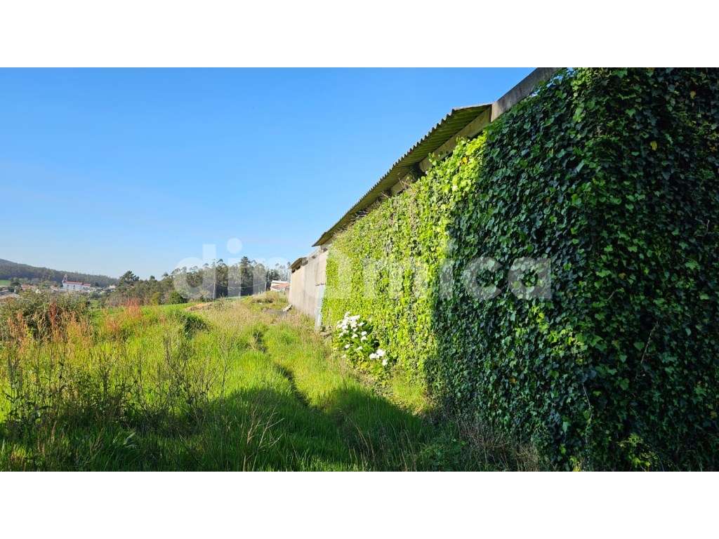 Armazém para recuperar - Vila Conde! - Grande imagem: 5/14