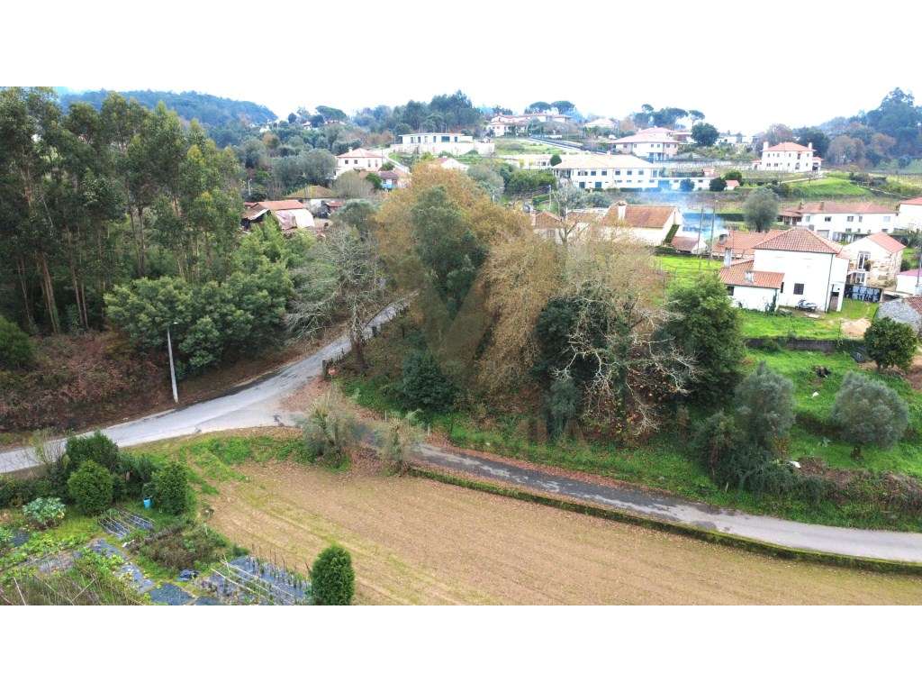 Terreno com 1.277,77 m² - Feitosa, Ponte de Lima - Grande imagem: 5/10