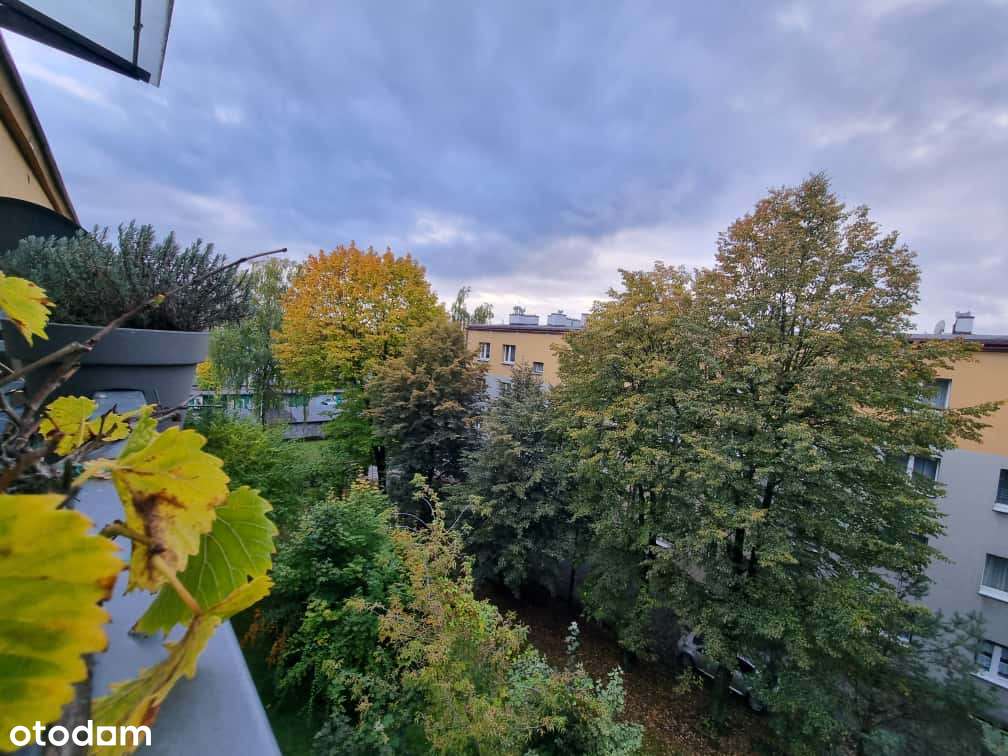 | 10 min Katowice-Gliwice | DTŚ | Duże mieszkanie w bloku do wejścia | - Pełny obrazek: 3/13