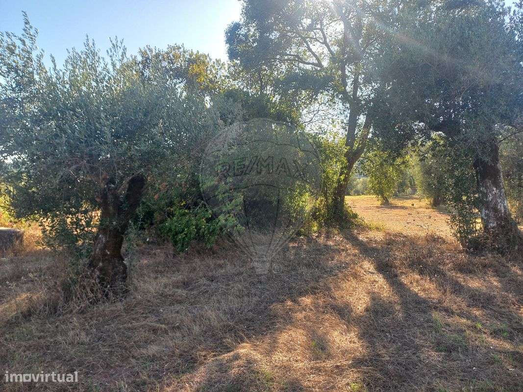 Terreno  para venda - Grande imagem: 5/9