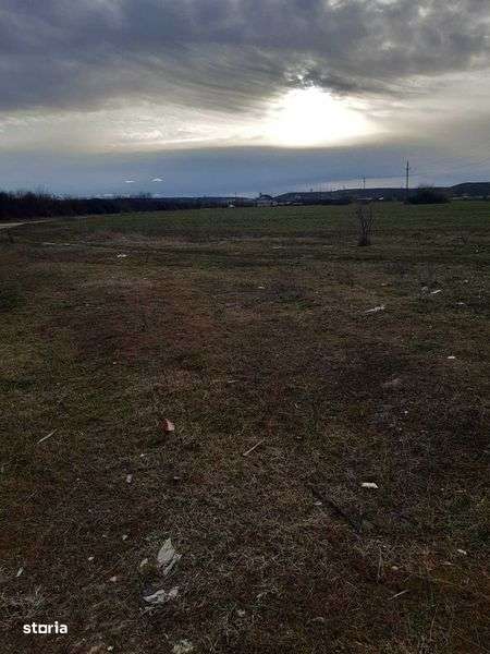 Teren De Vanzare - Balta Verde Craiova - Imagine principală: 4/4