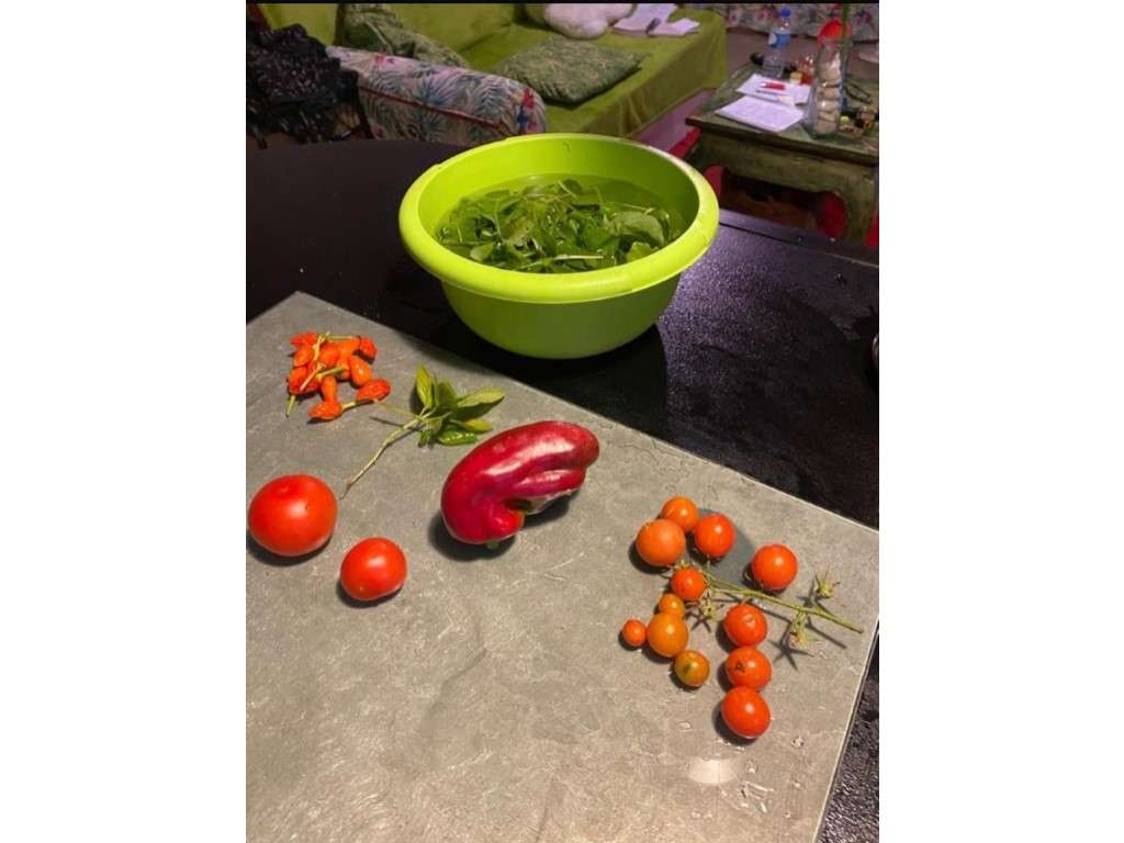 Moradia tipologia T2-26