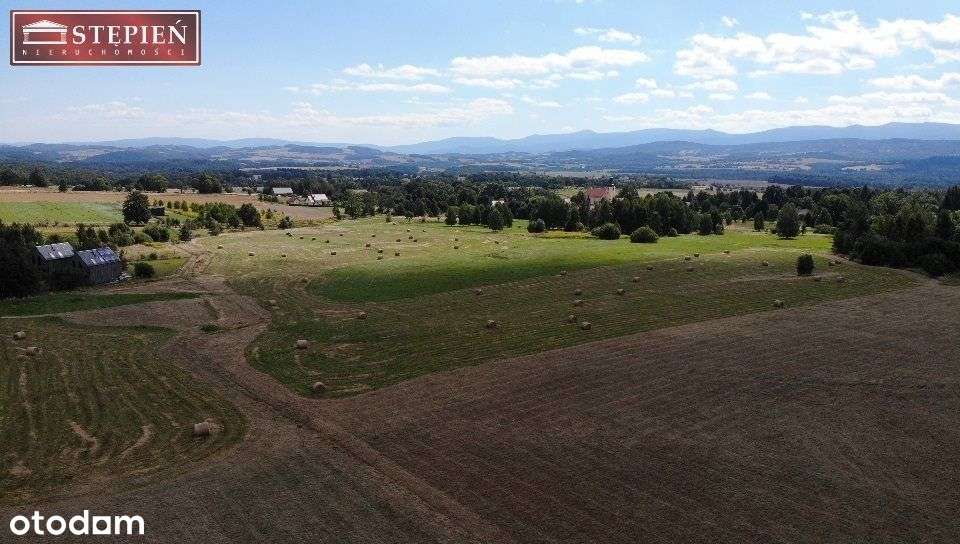 Działka, 1 577 m², Grudza - Pełny obrazek: 5/5