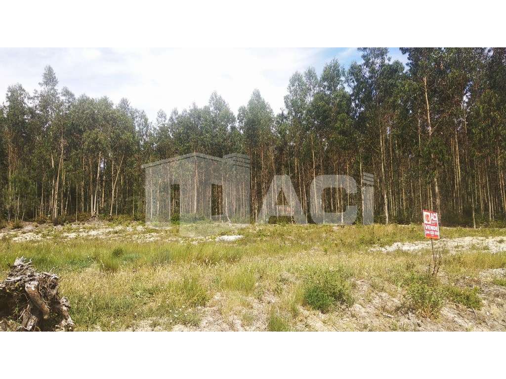 TERRENO - Milagres, Leiria - Grande imagem: 3/6