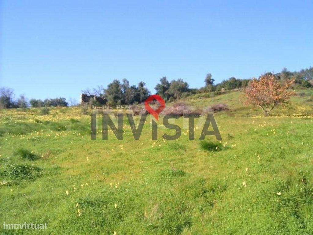Terreno com Potencial de Desenvolvimento – Quinta de Santa Sofia, Vila - Grande imagem: 5/15