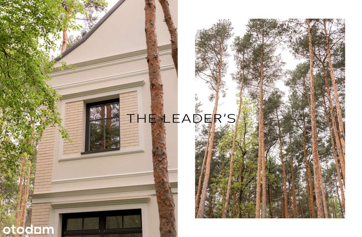 Willa o niespotykanej architekturze,angielski styl - Pełny obrazek: 5/20