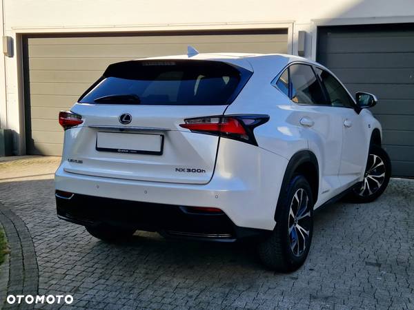 Lexus NX - 8