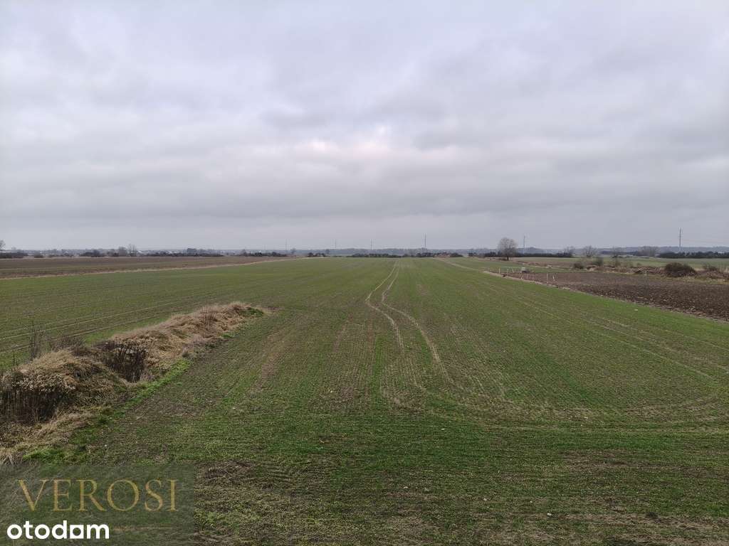 Dom wolnostojący z dużym ogrodem w Kiełczowie - Pełny obrazek: 5/20