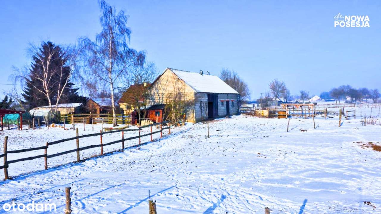 Dom, duża działka, stajnia-3